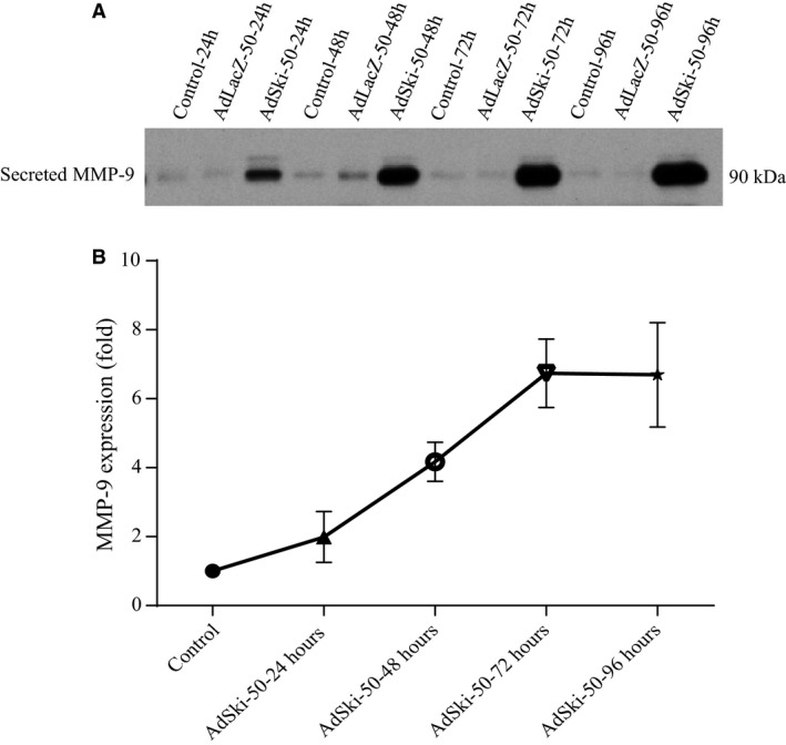 Figure 5