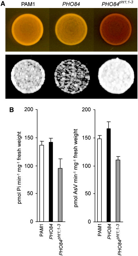 Figure 4.