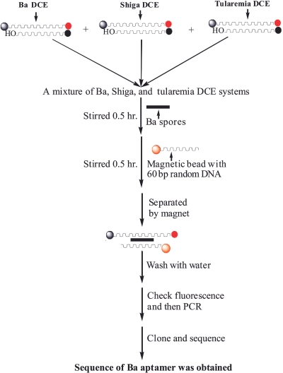 SCHEME 3