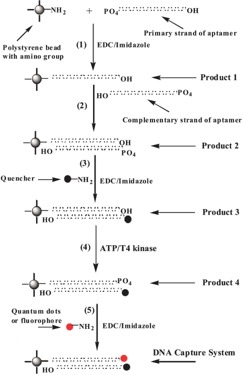 SCHEME 2