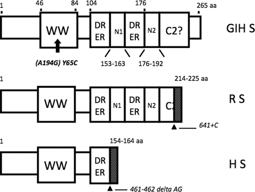 FIGURE 1.