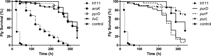 Fig 5