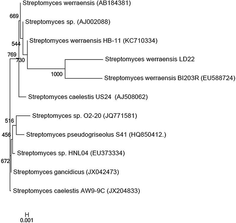 Fig. 4