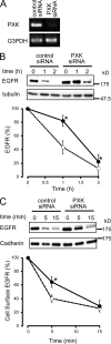 FIG. 9.