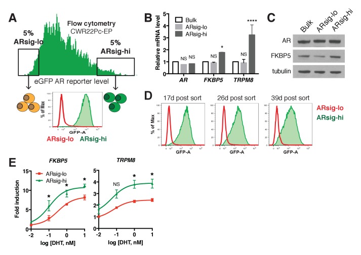 Figure 1—figure supplement 1.