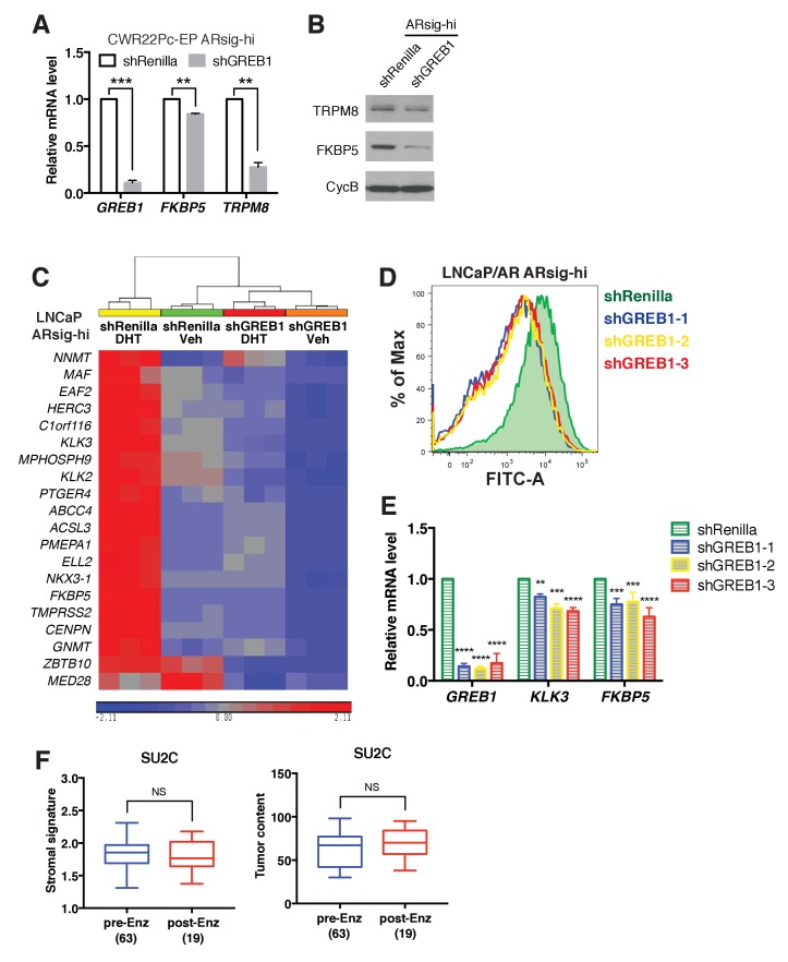 Figure 4—figure supplement 1.