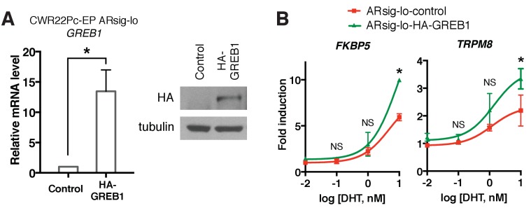 Figure 3—figure supplement 1.