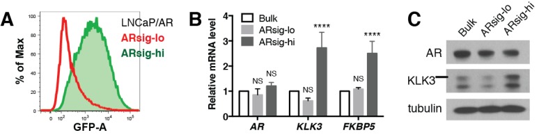 Figure 1—figure supplement 3.