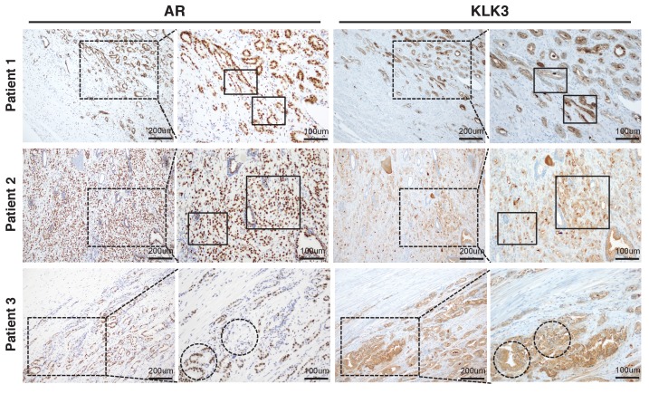 Figure 1—figure supplement 4.