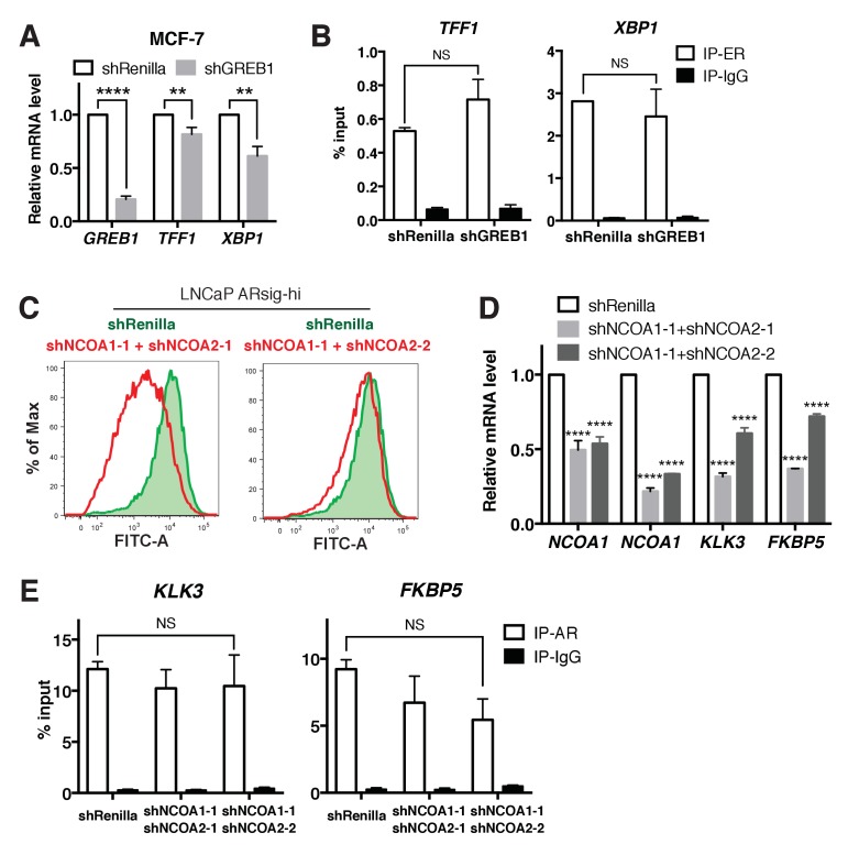 Figure 3—figure supplement 3.