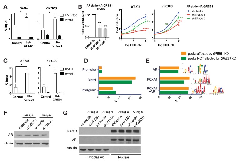 Figure 3—figure supplement 2.