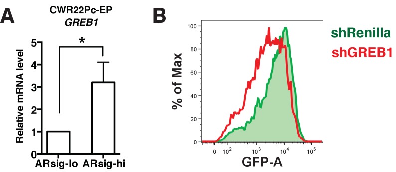 Figure 2—figure supplement 1.