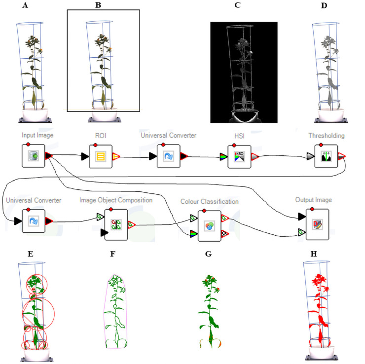 Fig 2