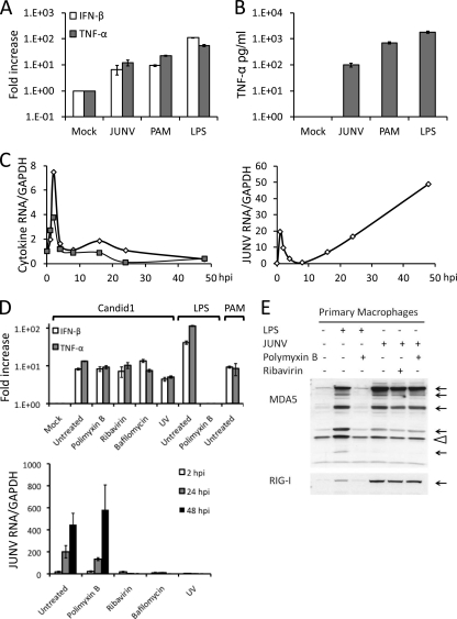 Fig. 4.