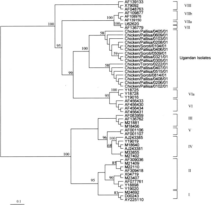 FIG. 2.