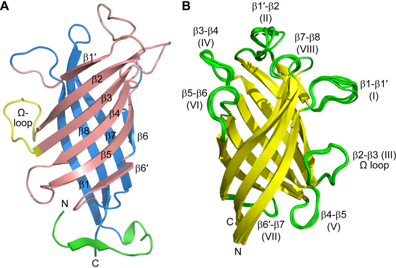 Figure 5.