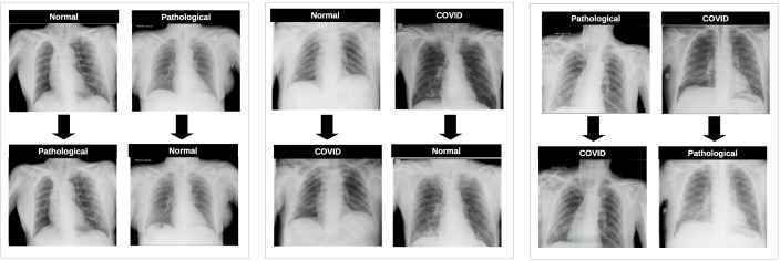 Fig. 10