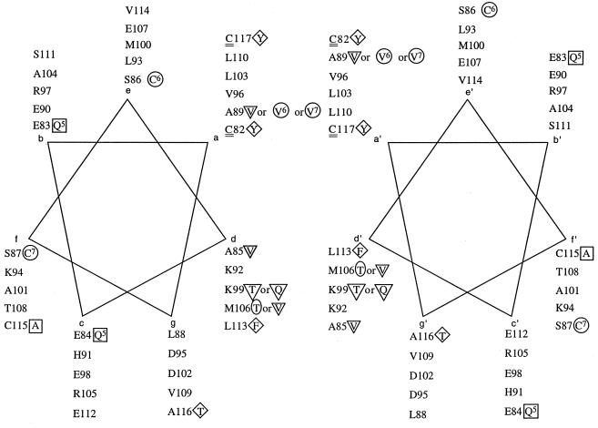 FIG. 7