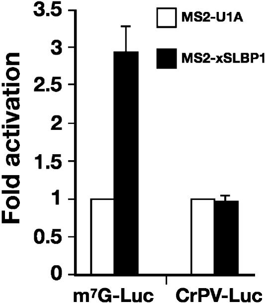 FIGURE 2.