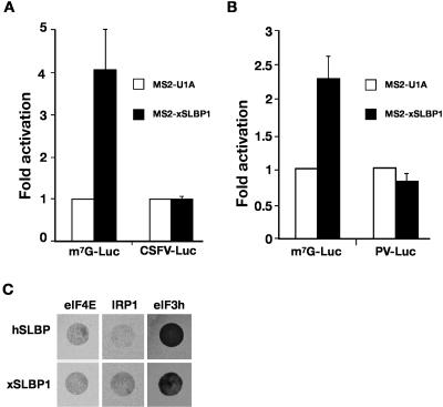 FIGURE 7.