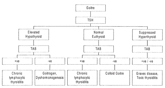 Figure 1)