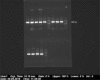 Fig. 1: