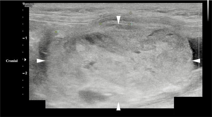 FIGURE 1