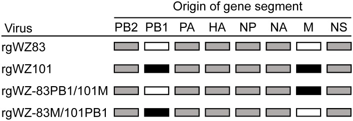 Fig 1