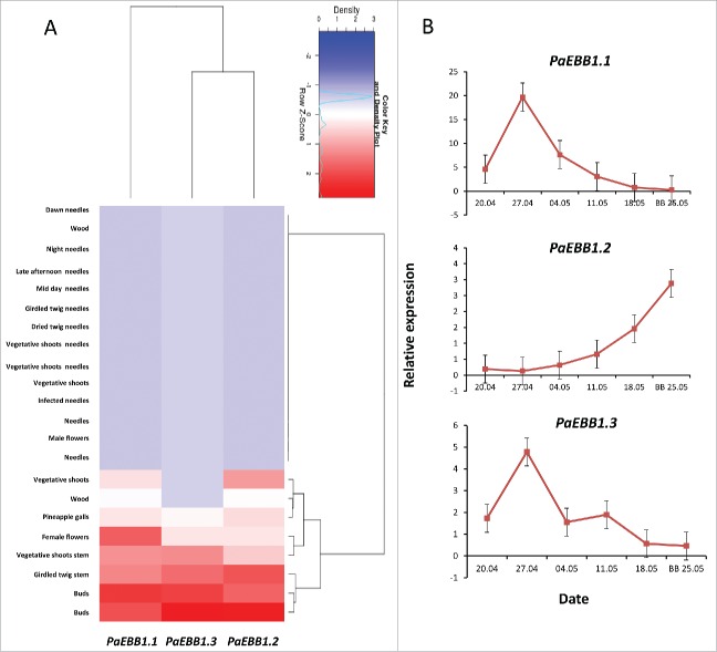 Figure 2.