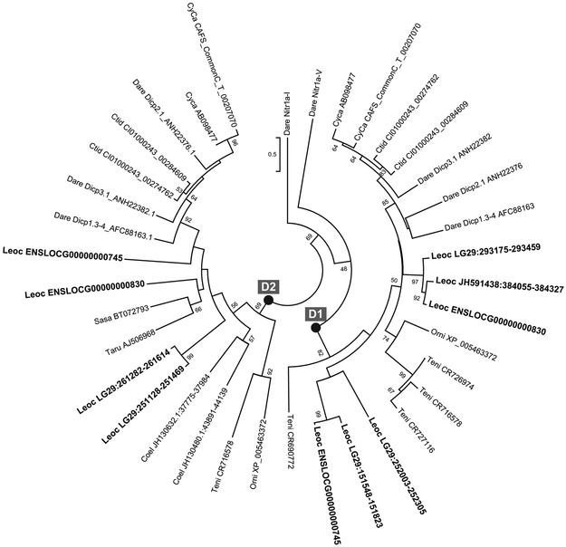 Figure 7.