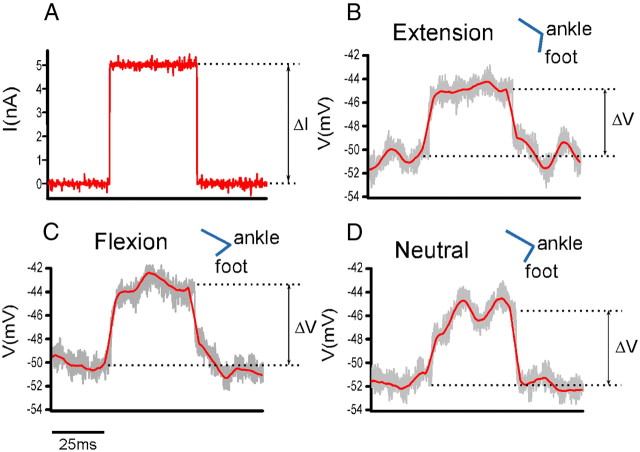 Figure 6.