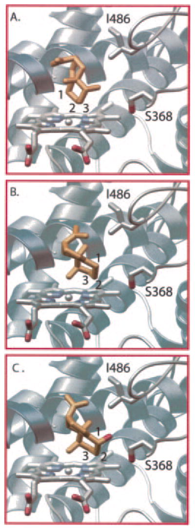 Fig. 8