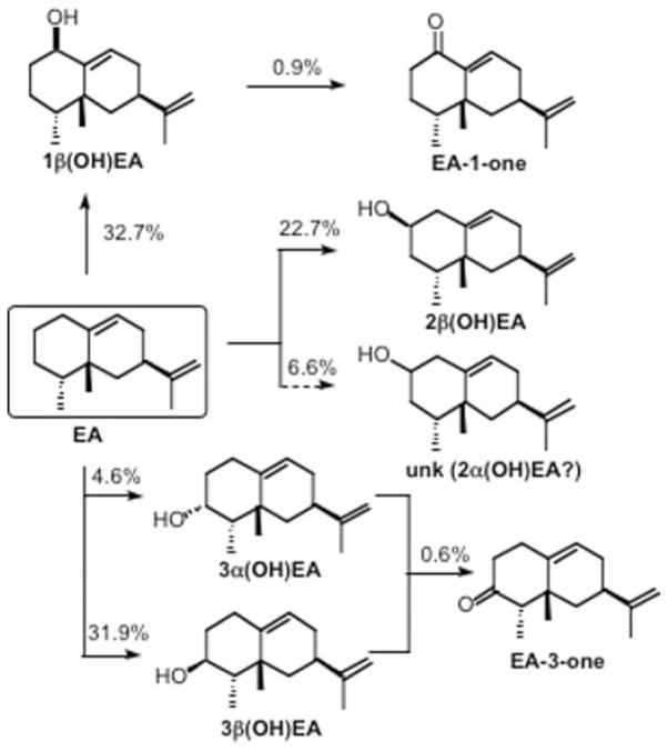 Scheme 2