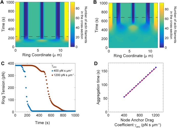 Figure 5: