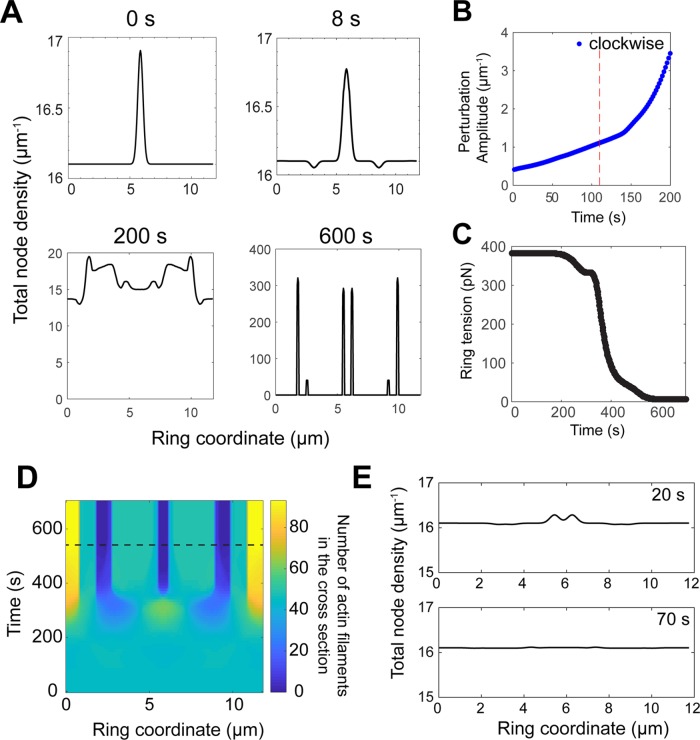 Figure 4: