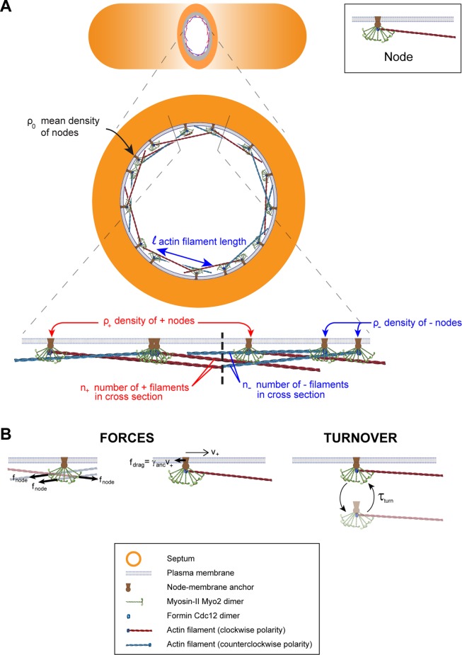 FIGURE 1: