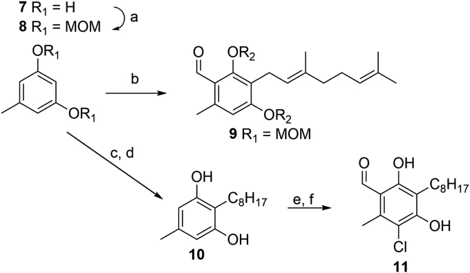 Scheme 2