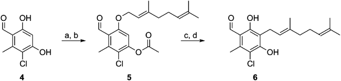 Scheme 1