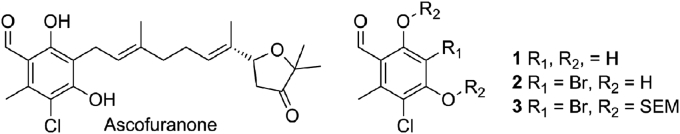 Fig. 2