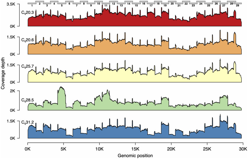 Figure 3: