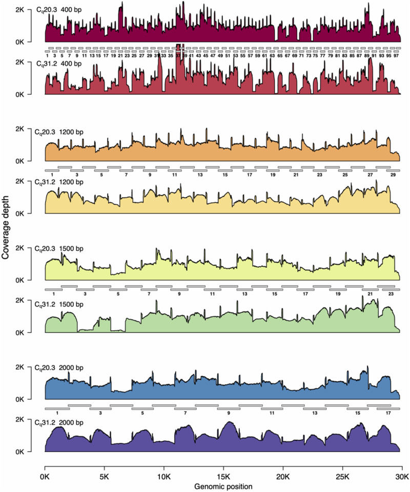 Figure 1: