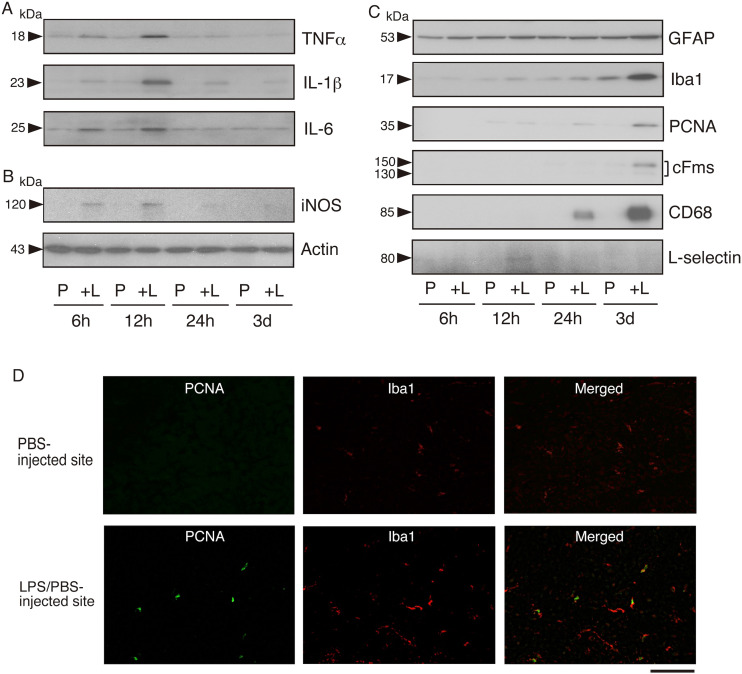 Figure 2.