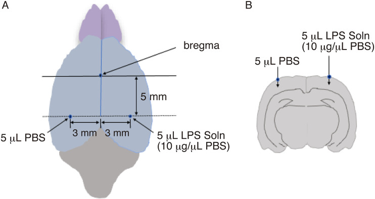 Figure 1.