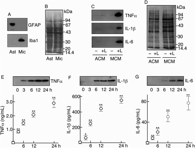 Figure 4.