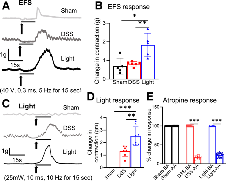 Figure 6