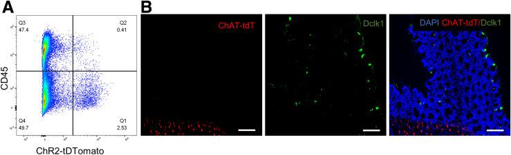 Figure 5