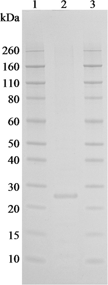 FIG 2