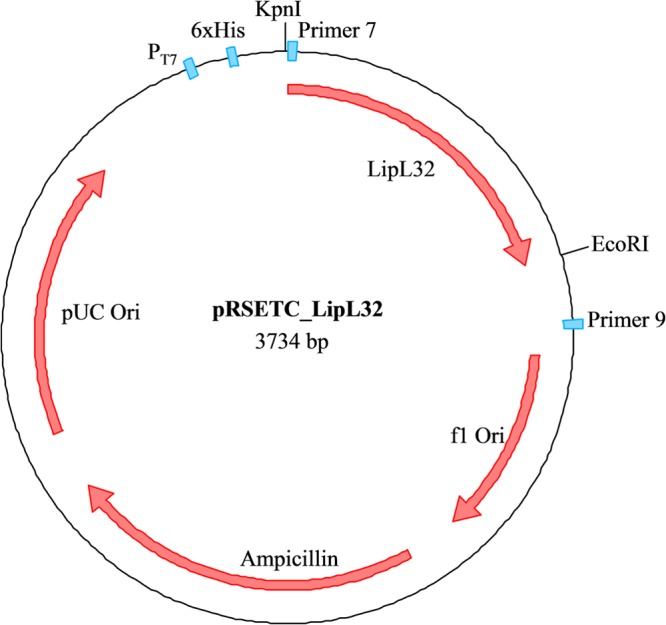 FIG 1