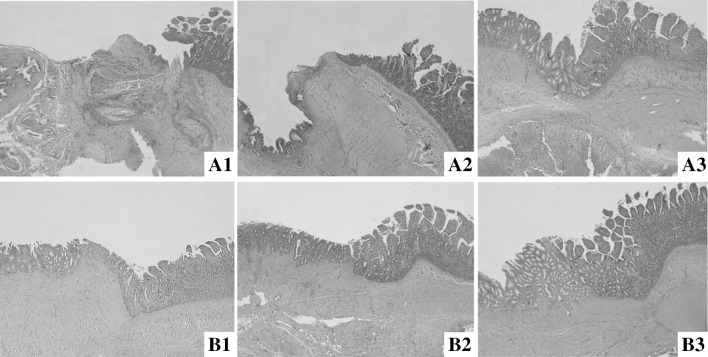 Fig. 6