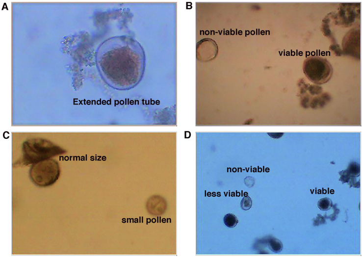 Figure 3